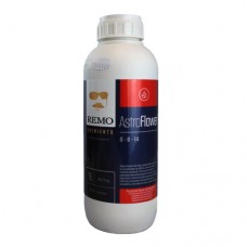 1L Astro Flower Remo